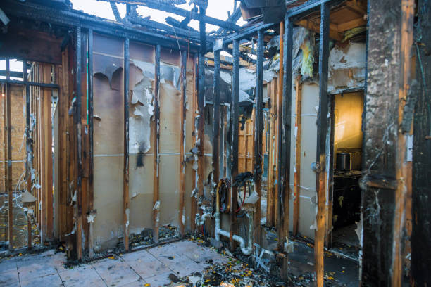 Professional Fire Damage Repair technician working in Wells, NV